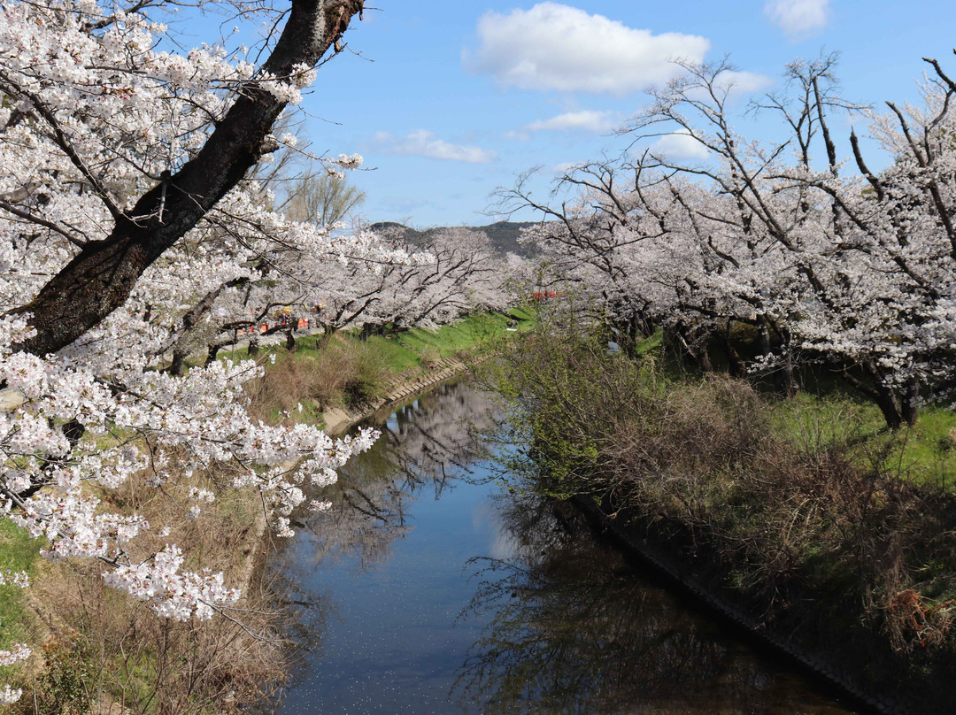 Shinsakai River Tsutsumi-各务原市必去景点