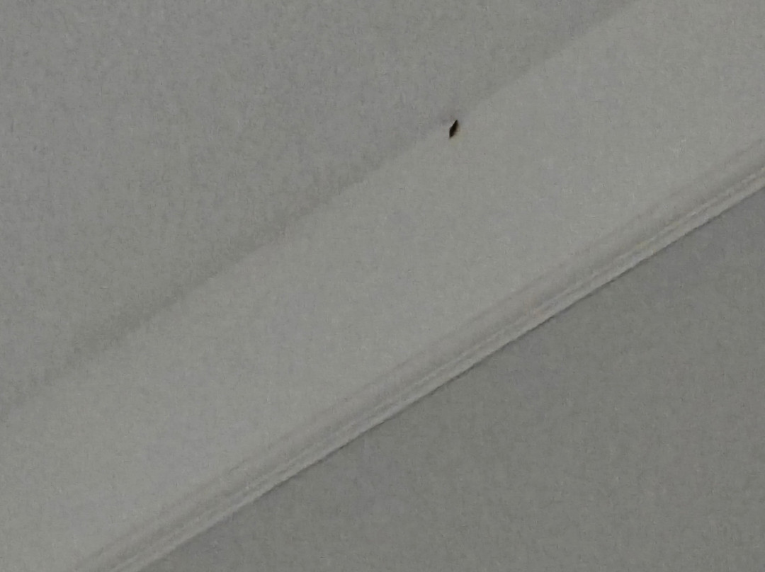 La Quinta Inn & Suites by Wyndham Livingston主图