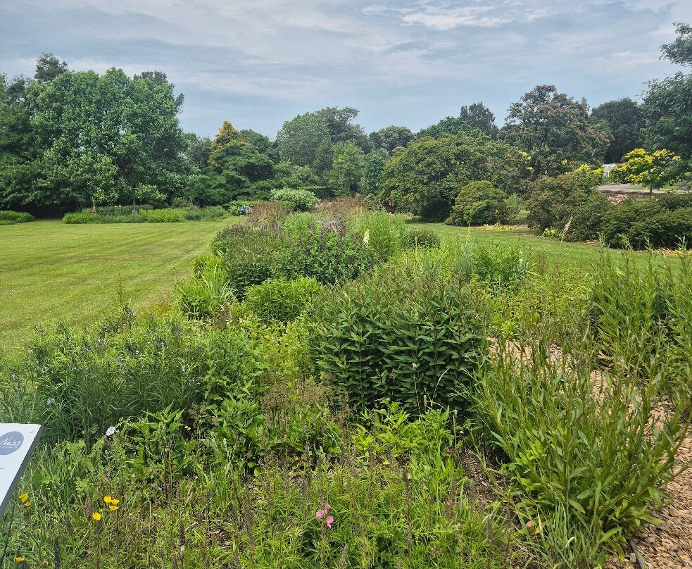 Ness Botanic Gardens-Ness必去景点