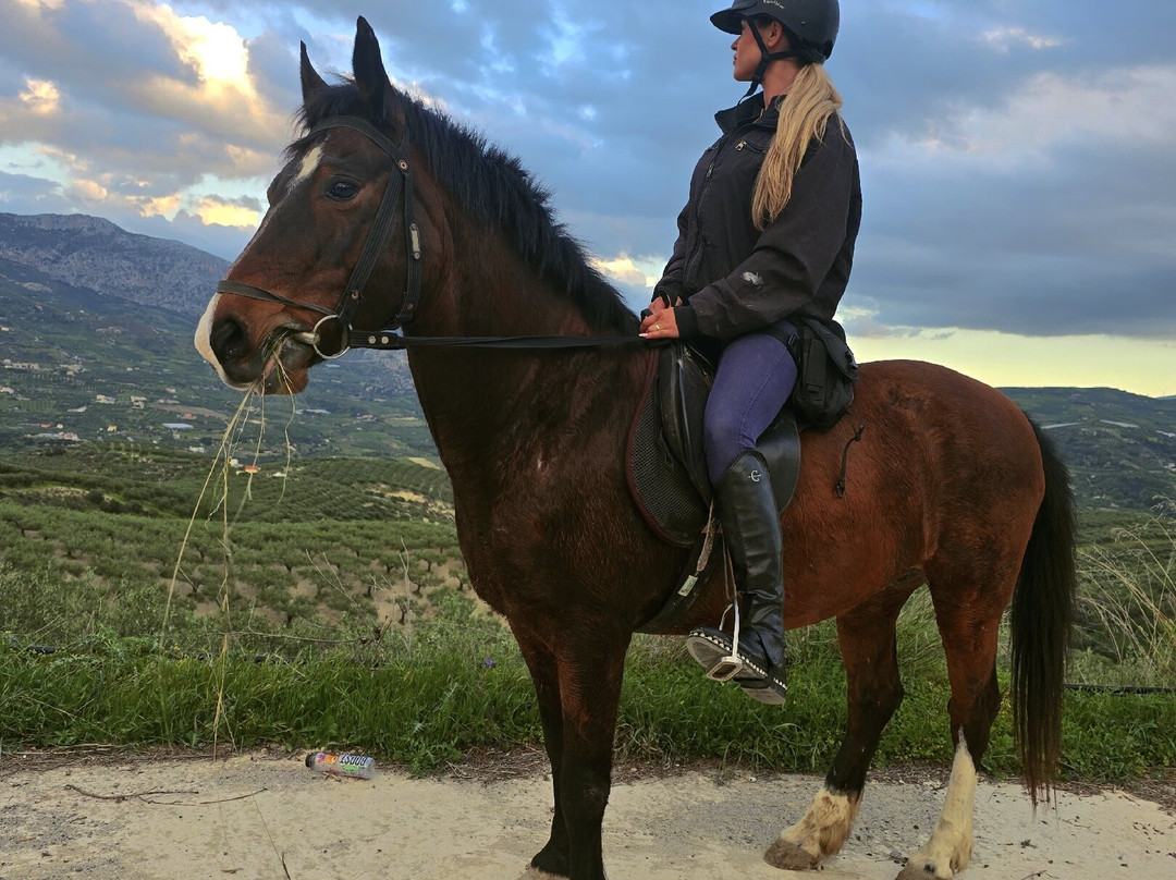 Finikia Horseriding景点图片