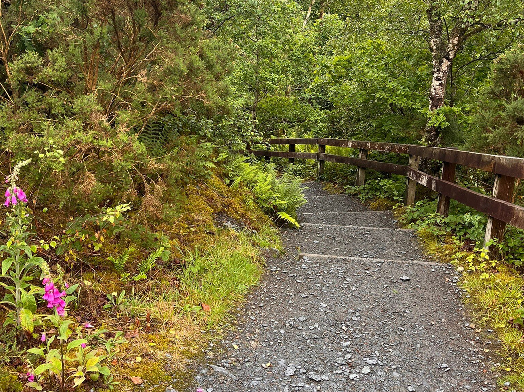 Loch Lomond Faerie Trail-拉斯必去景点