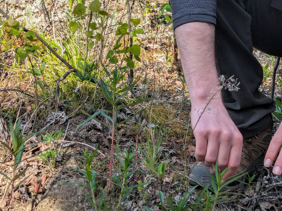 Northern Epics-Denali Park必去景点