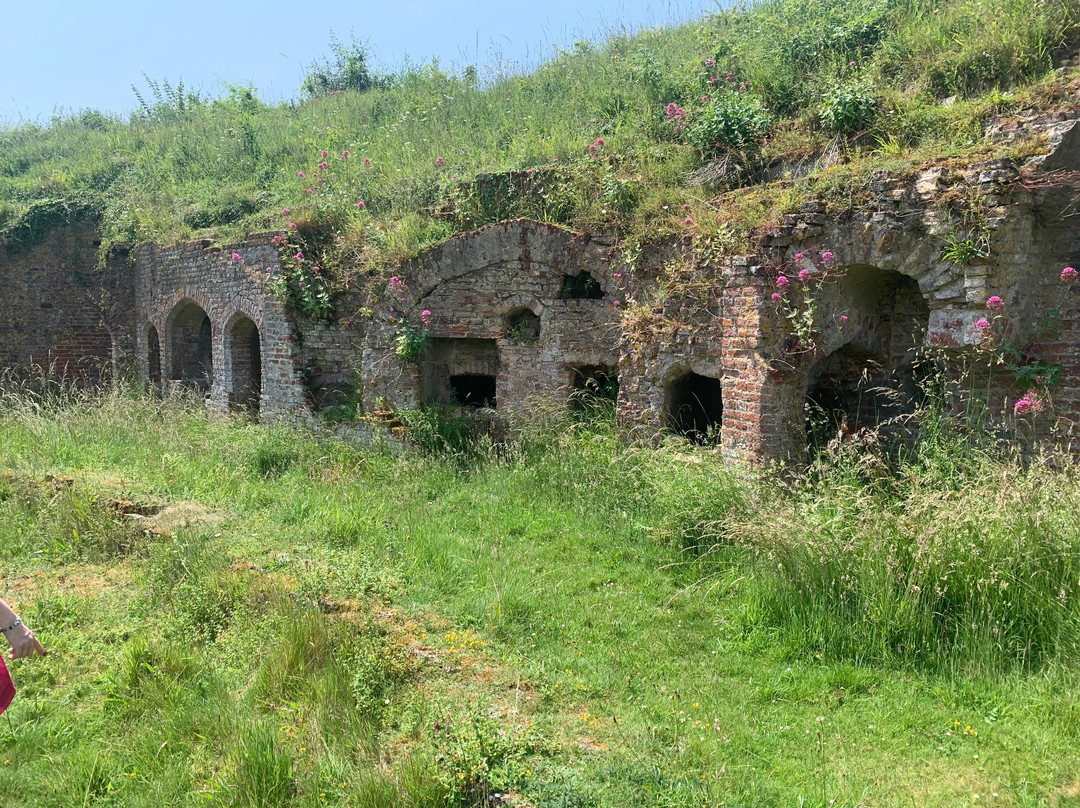 Basing House-Old Basing必去景点