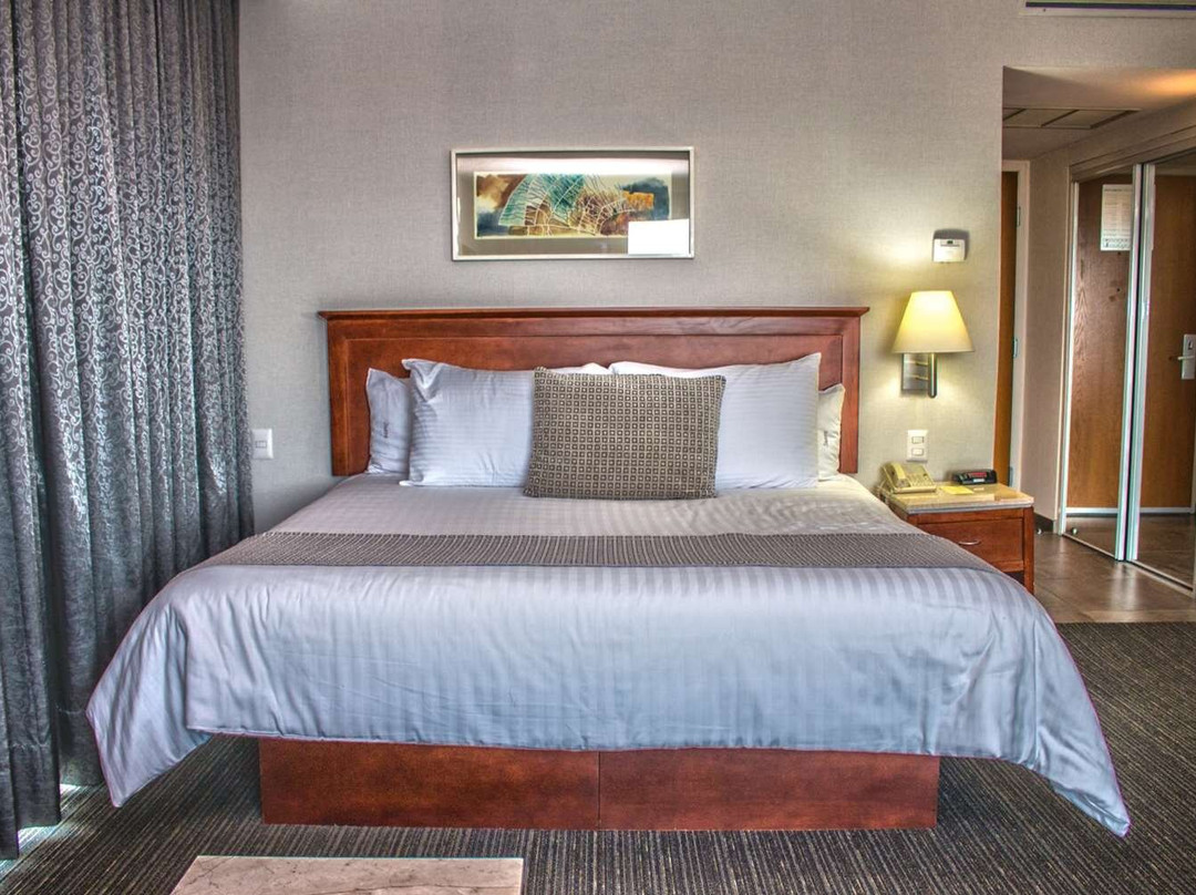 Celaya酒店住宿-Casa Inn Business Hotel Celaya Veleros