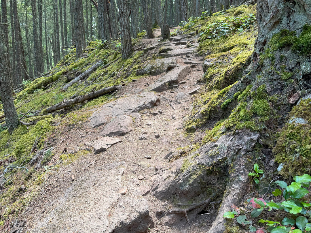 Mt Erskine Provincial Park-盐泉岛必去景点