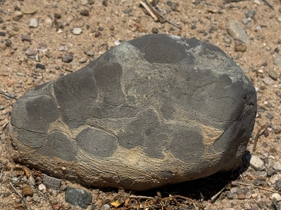 Sevilleta National Wildlife Refuge-La Joya必去景点