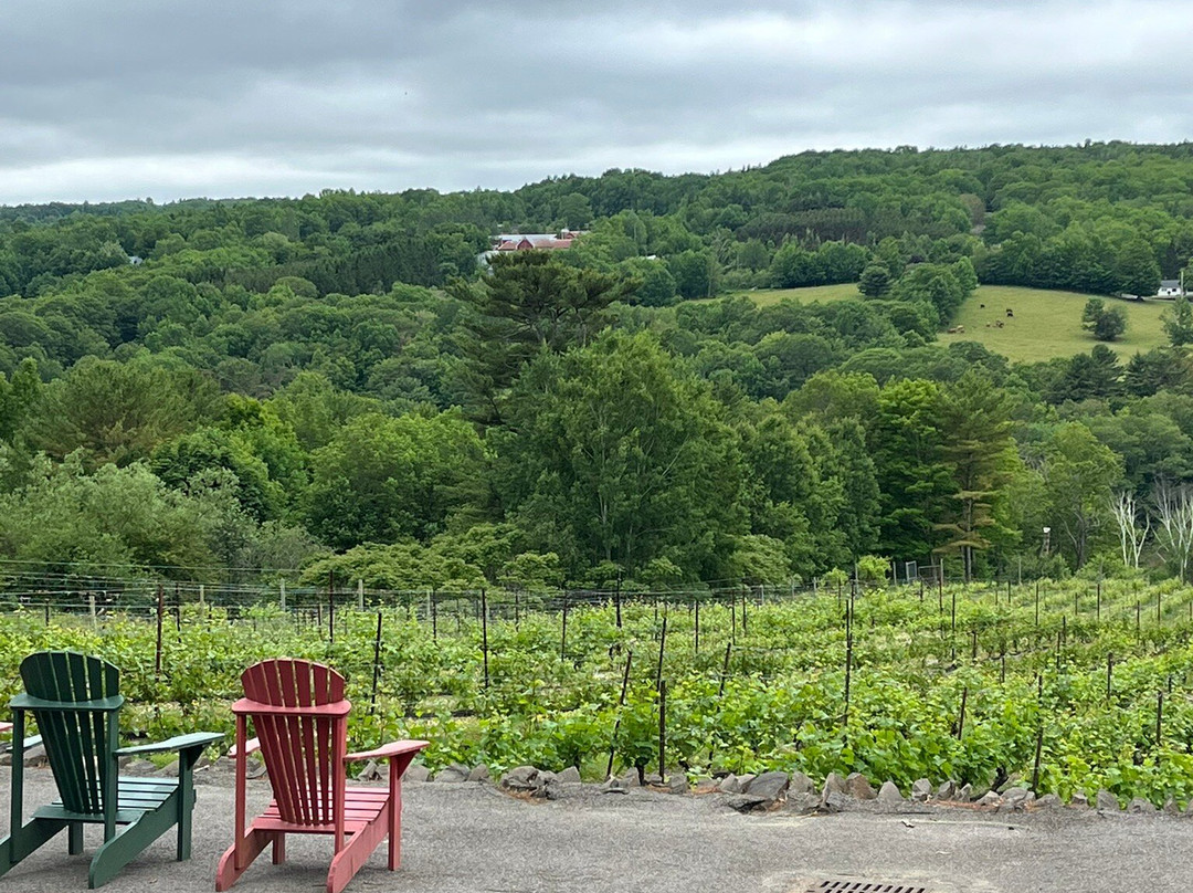 Bear River Vineyards-Bear River必去景点