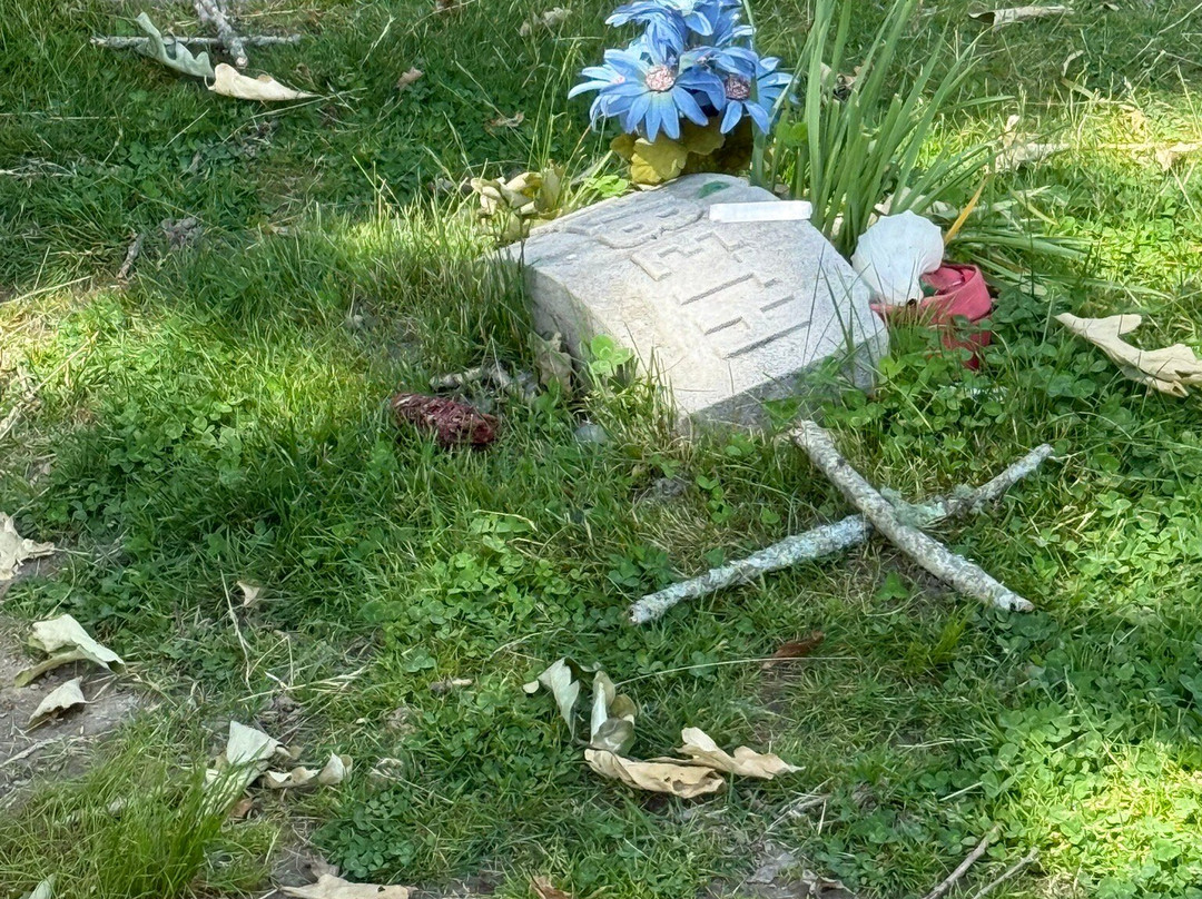 Oak Grove Cemetery-福尔里弗必去景点