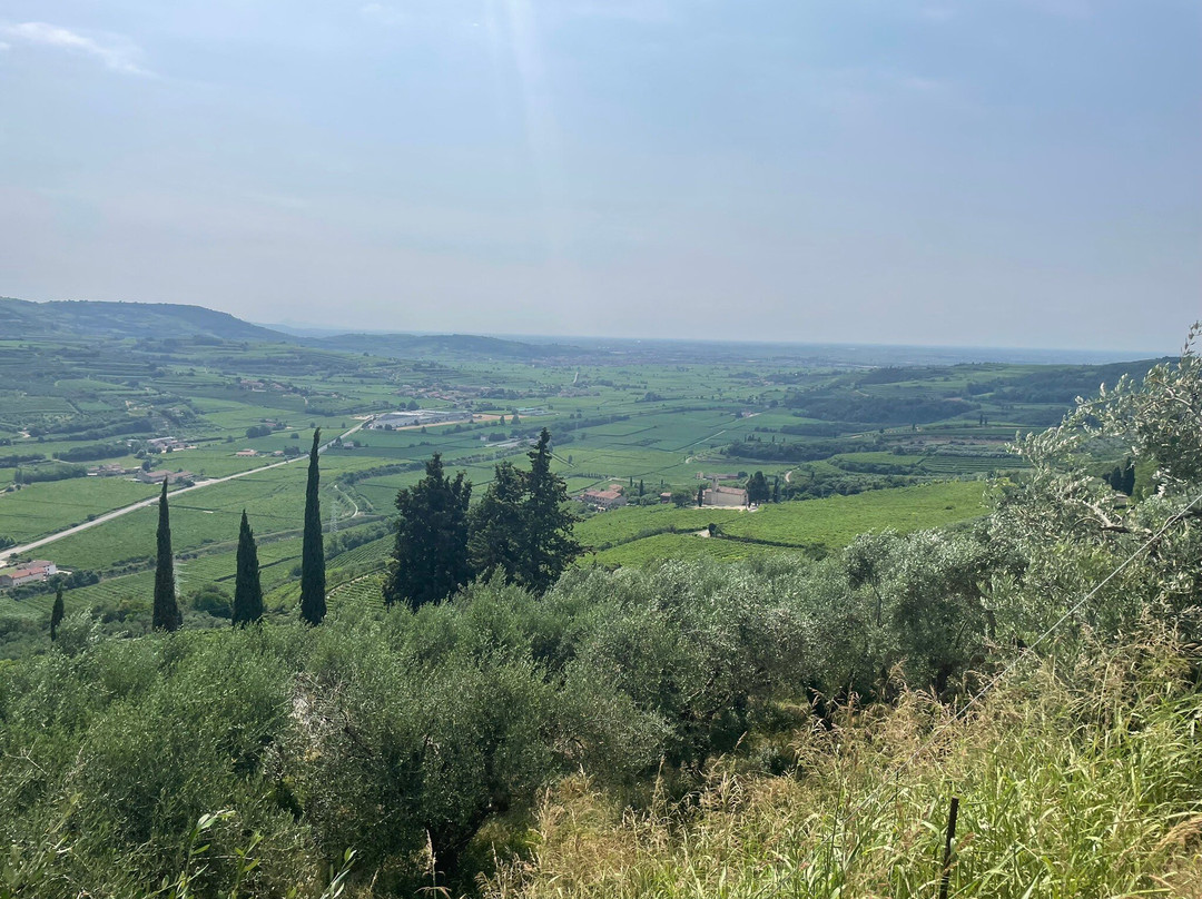 Azienda Agricola Trabucchi-Illasi必去景点