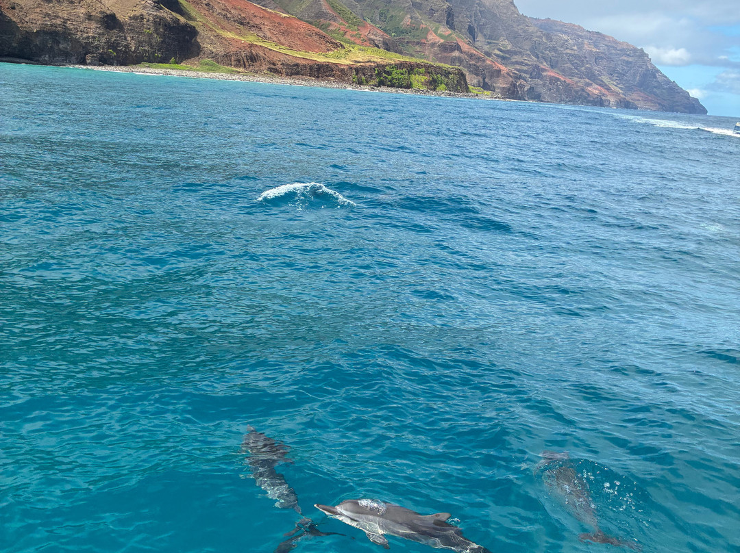 Napali Sea Breeze Tours-基拉韦厄必去景点