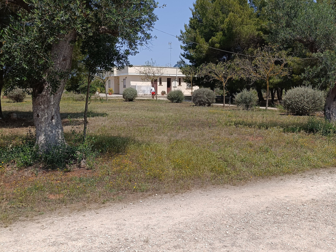 B&B Villa delle Palme主图