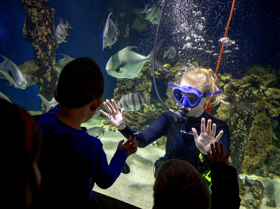 Virginia Living Museum-纽波特纽斯必去景点