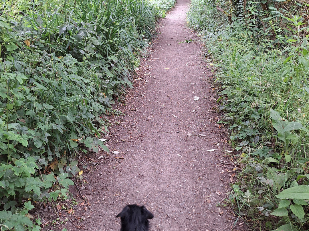 Travelodge Southampton Eastleigh主图