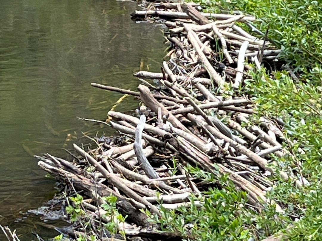 Mountain Master Off-Road Tours-Mosca必去景点