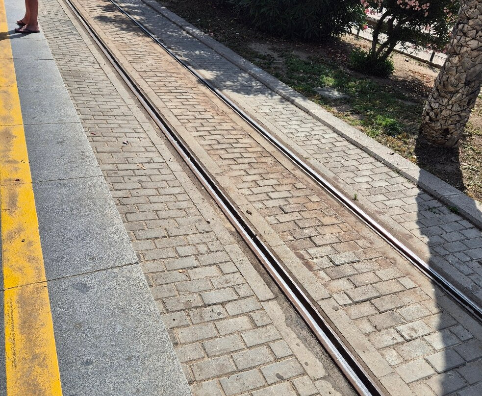 Tram Alicante-阿利坎特省必去景点