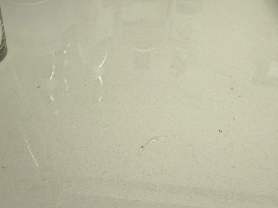 Cape Sienna  villa 6主图