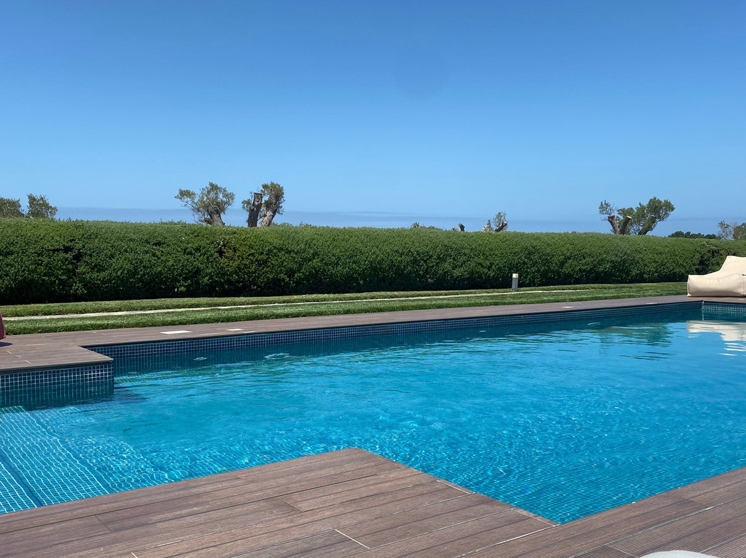 Monte do Cardal主图