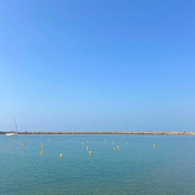 Hotel Le Carnon-官方