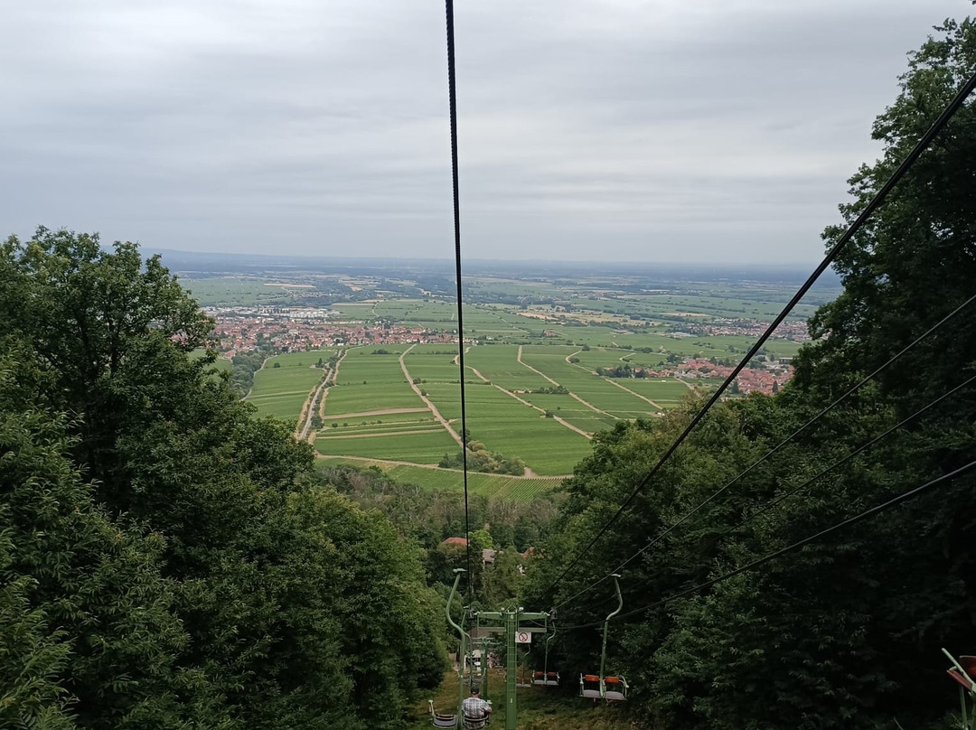 Rietburgbahn-Edenkoben必去景点