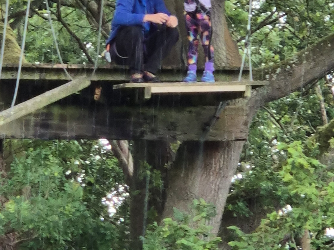 Llangorse Multi Activity Centre-Llangorse必去景点