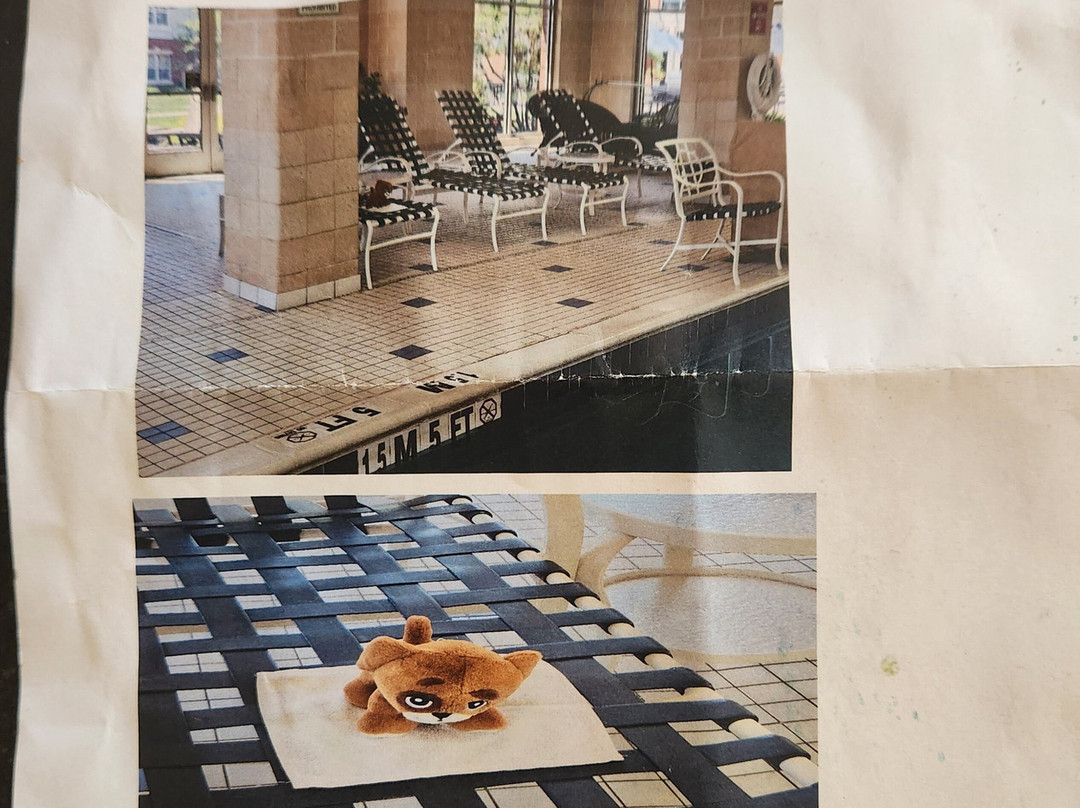 Homewood Suites by Hilton Harrisburg East-Hershey Area主图