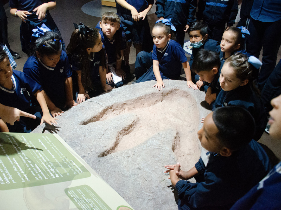 Caracol-恩塞纳达必去景点