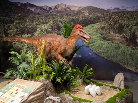 Caracol-恩塞纳达必去景点