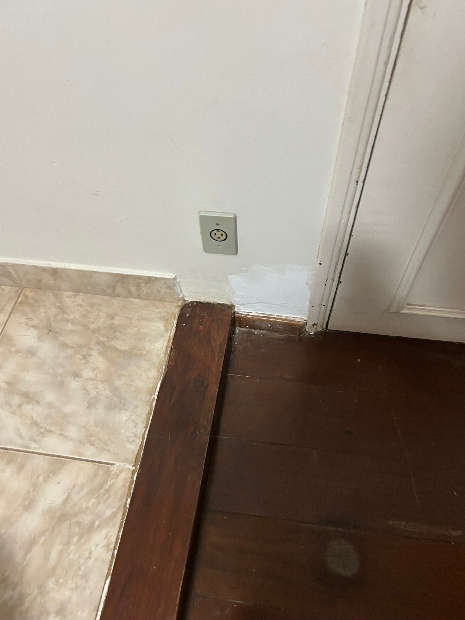 Tamareiras Park Hotel-官方