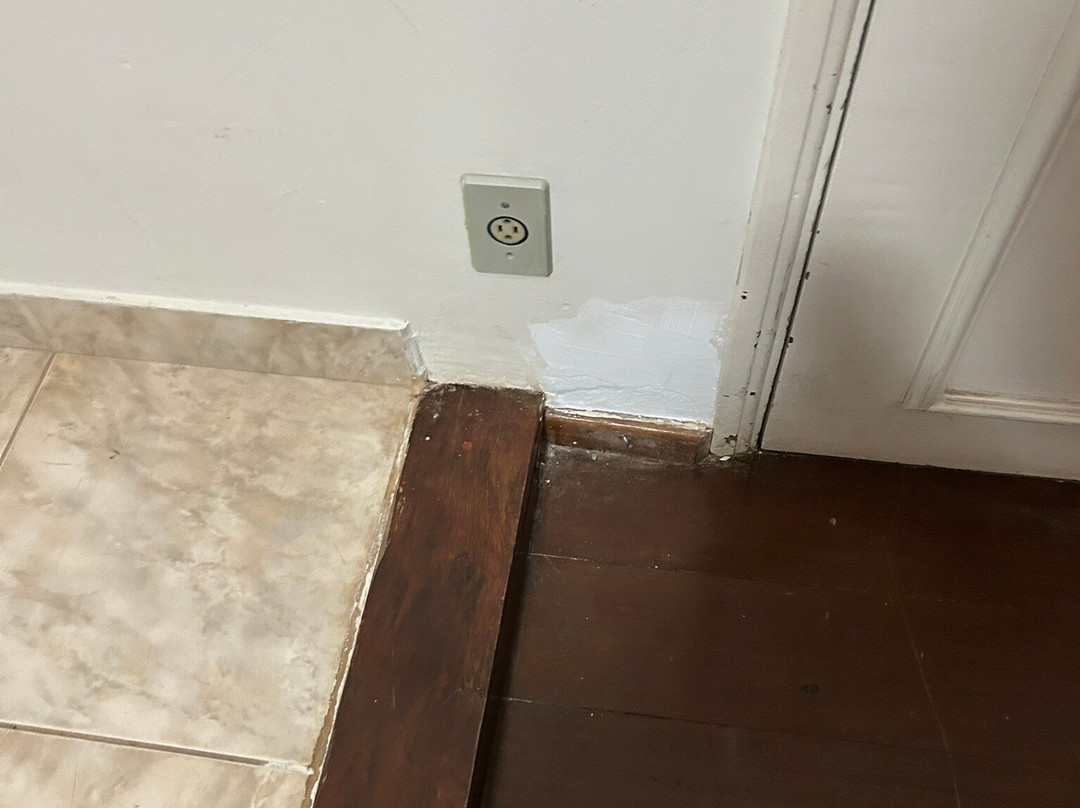 Tamareiras Park Hotel主图