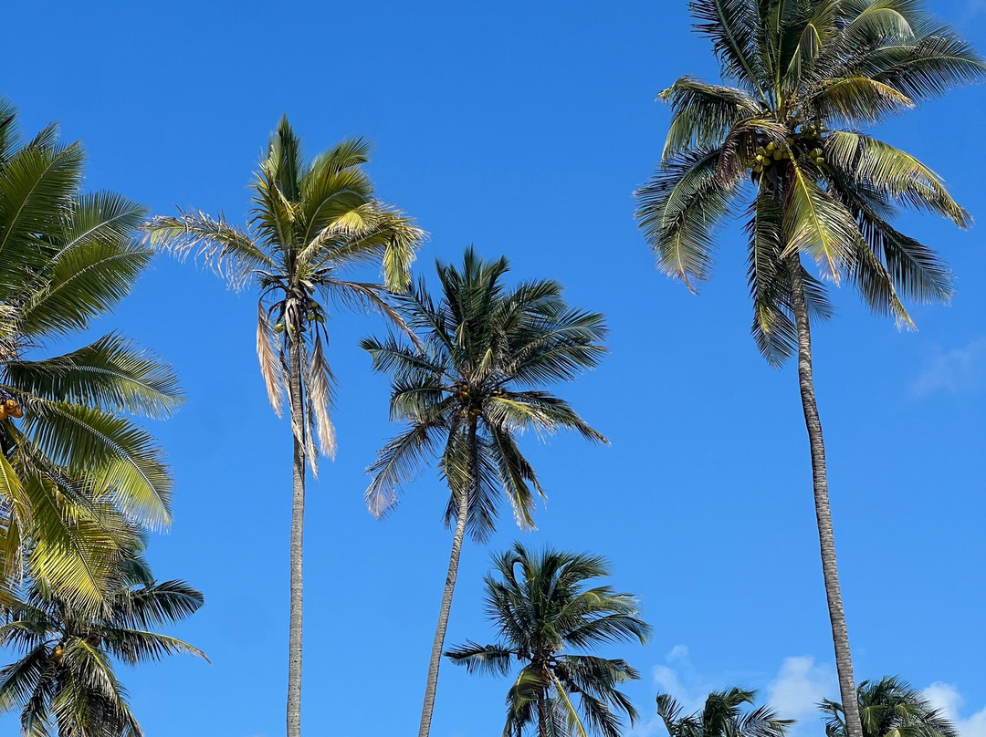HA Beach Hotel Zanzibar