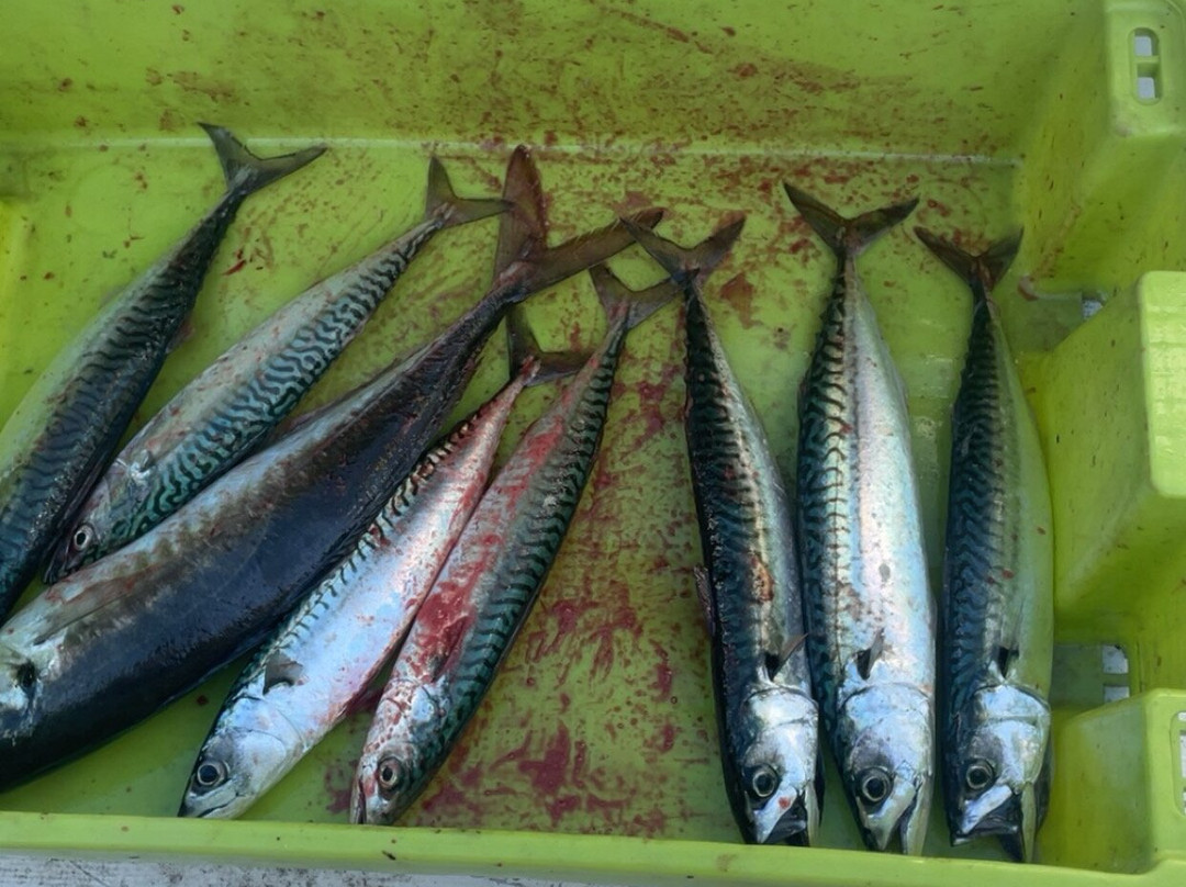 L'Ami du Pecheur-Saint-Gilles-Croix-de-Vie必去景点