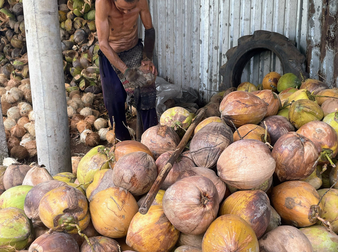 Mr. BikerBentre-Ben Tre必去景点