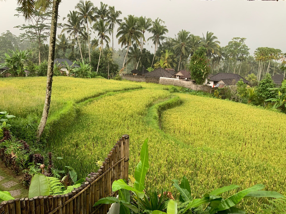 JinengBali Eco Lodge