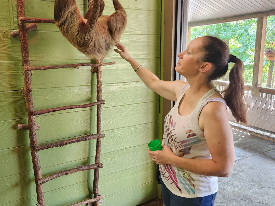 Branson's Promised Land Zoo-布兰森必去景点