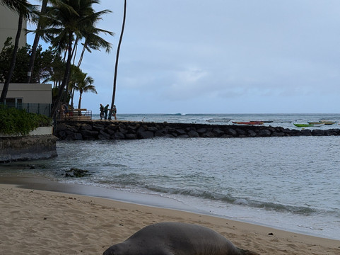 凯玛纳海滩-火奴鲁鲁必去景点