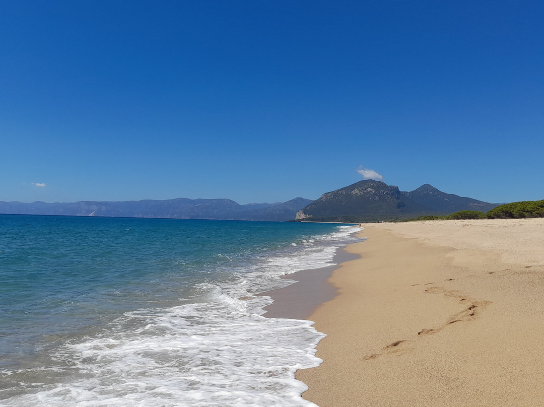Spiaggia di Su Barone-奥罗塞必去景点