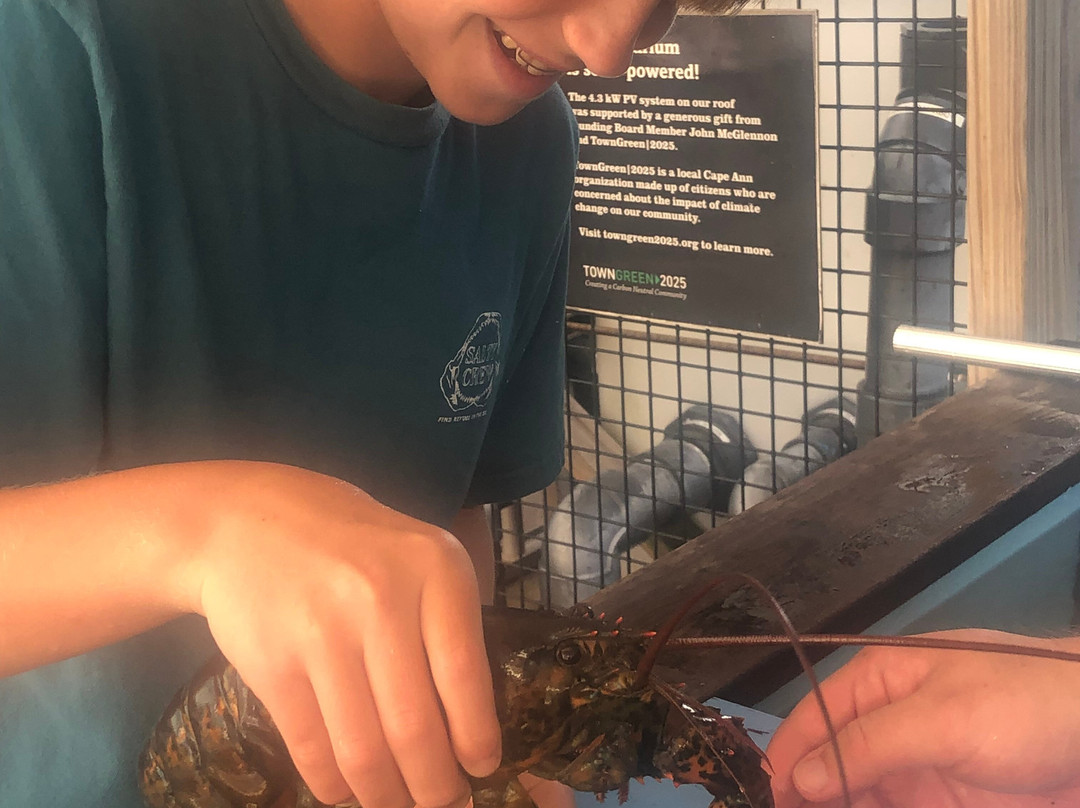 Maritime Gloucester-格洛斯特必去景点