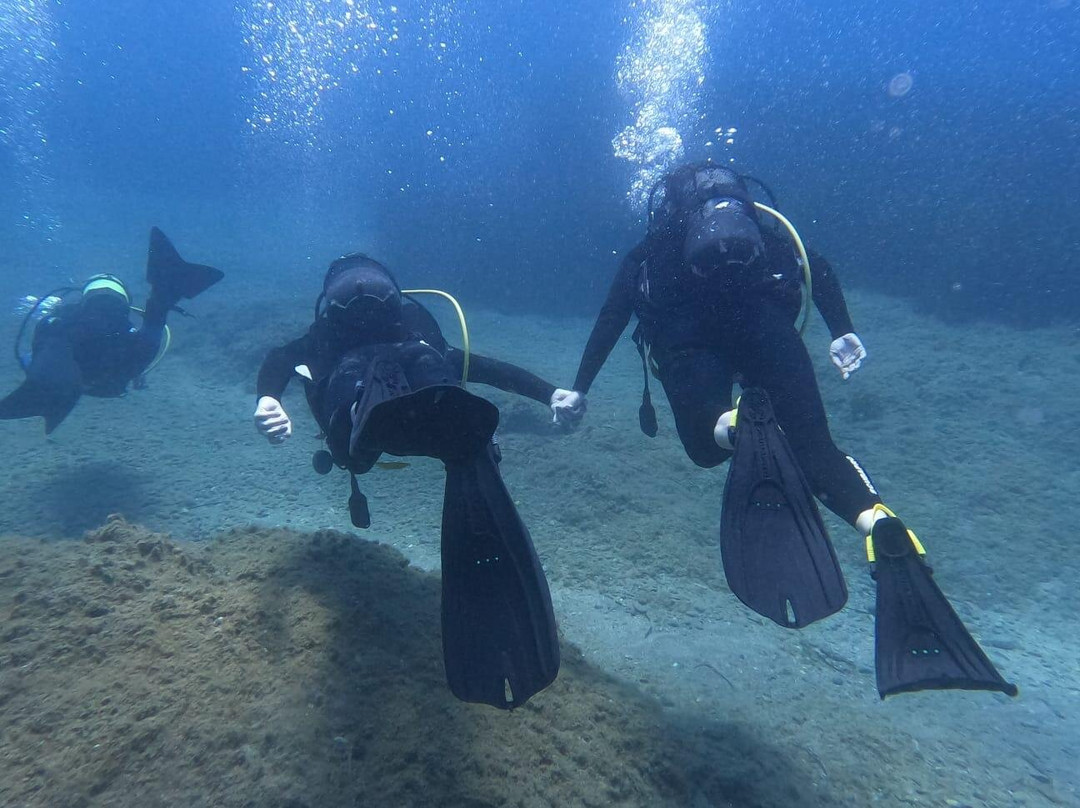 Royal Octopus DIVE CENTER-Kolymbari必去景点
