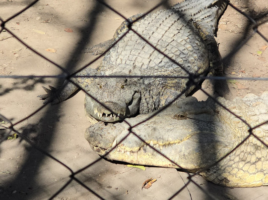 Joe Mthombeni-Binga必去景点