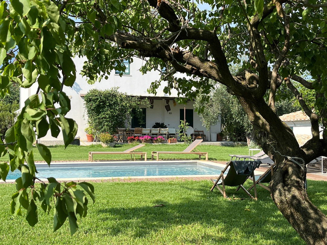 Casa Agricola Scorziello主图