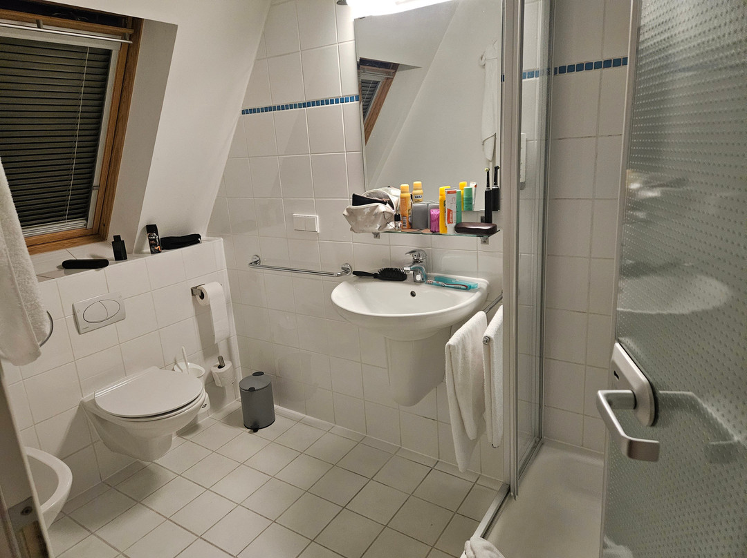 LoewenThor Hotel Hahn主图