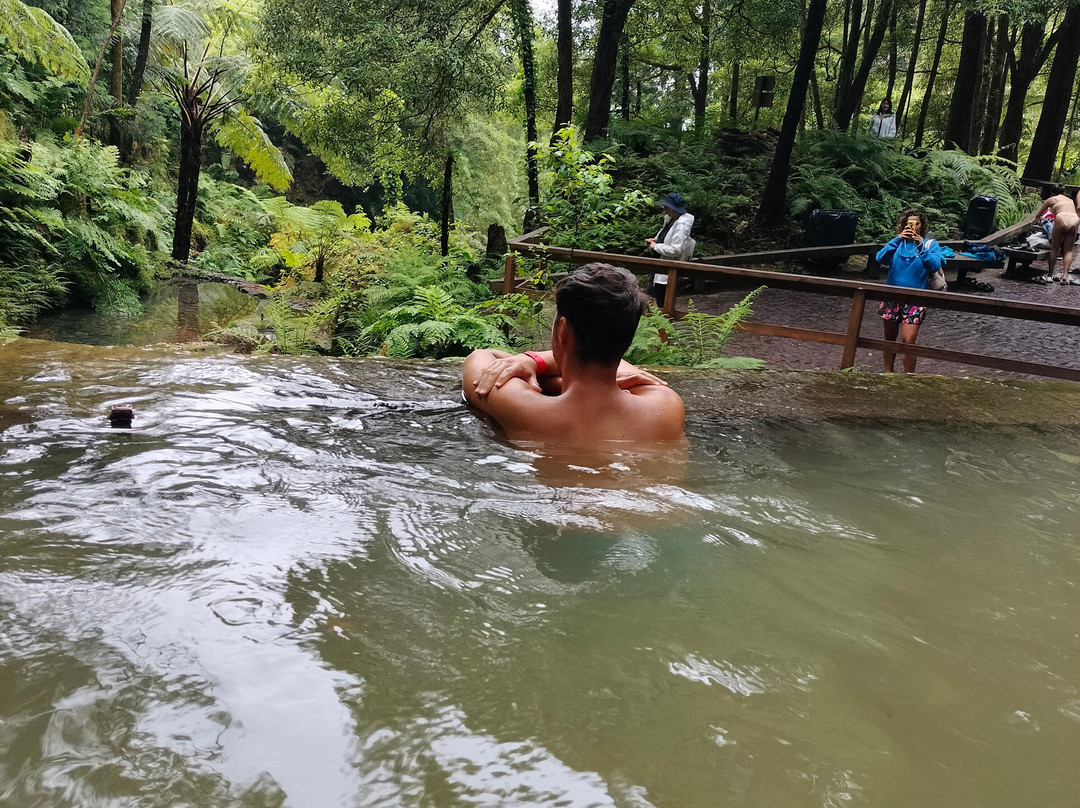 Lagoa das Furnas-圣米格尔岛必去景点