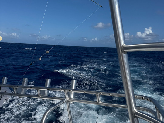 Get Bent Charters-乔治城必去景点