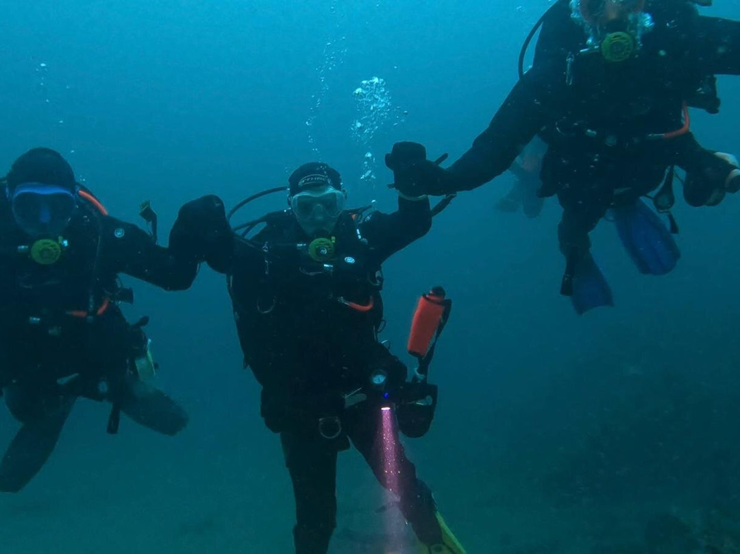 Kraken Diving-Birsay必去景点