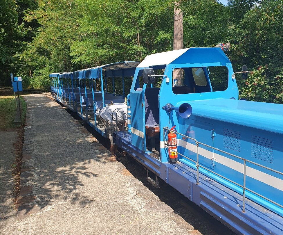 Train de l'Andorge en Cevennes-Sainte-Cecile-d'Andorge必去景点