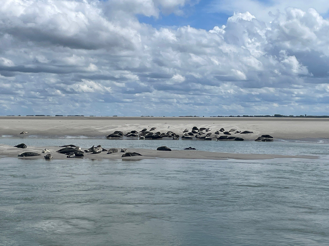 Les Phoques de la Baie d'Authie-Berck必去景点