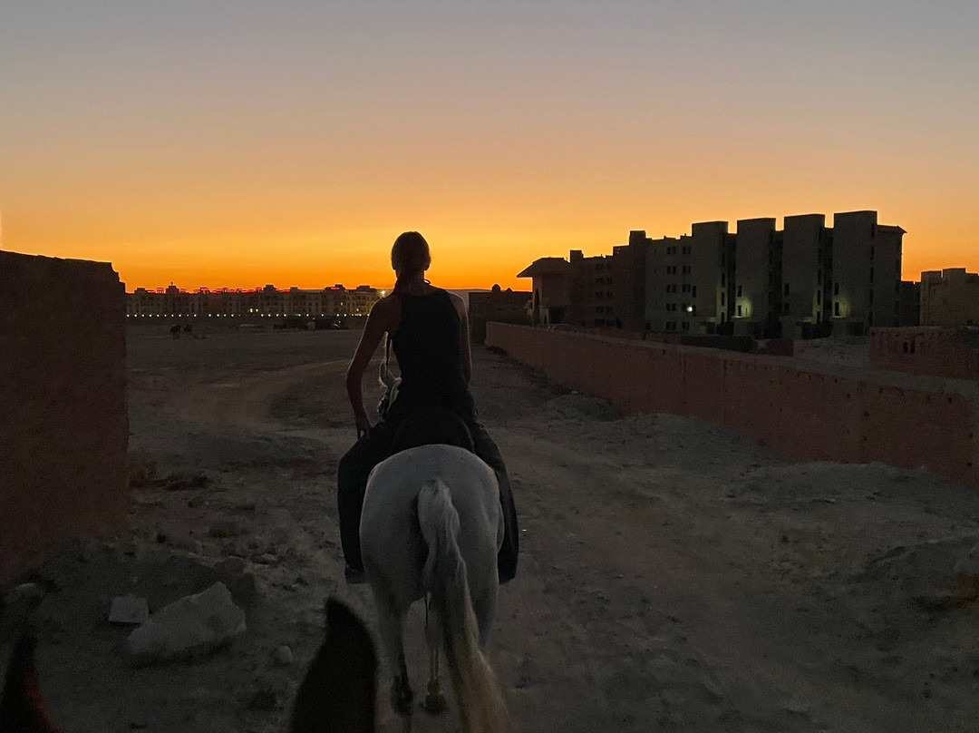 Yallahorse Stable-艾高娜必去景点