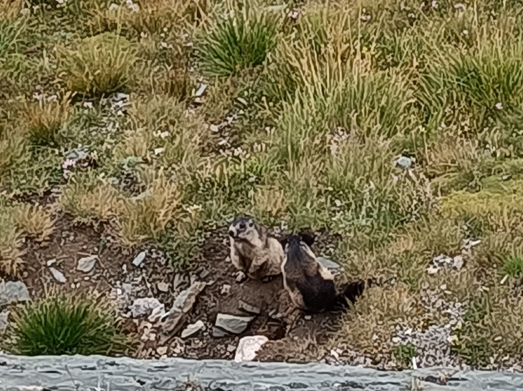 Großglockner National Park-海利根布卢特必去景点