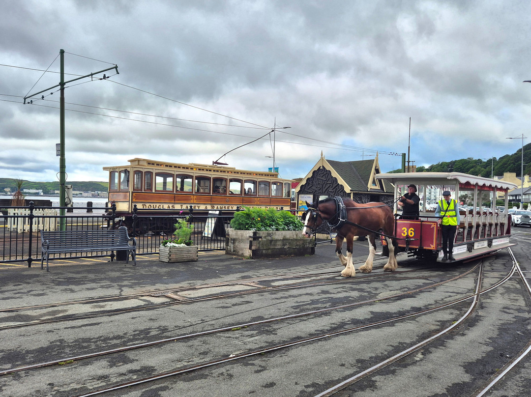 Douglas Bay Horse Tramway-Douglas必去景点