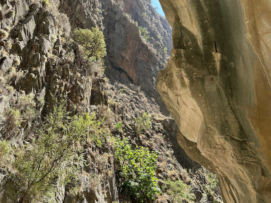 Tatil Sihirbazı Travel Agency-卡斯必去景点